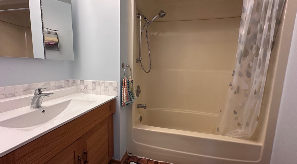 27 Carrie Cove lower level bath